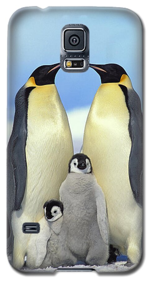 Mp Galaxy S5 Case featuring the photograph Emperor Penguin Aptenodytes Forsteri #1 by Konrad Wothe