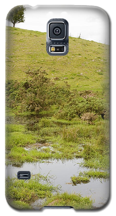 Green Galaxy S5 Case featuring the photograph Fairy tree in Ireland #1 by Ian Middleton