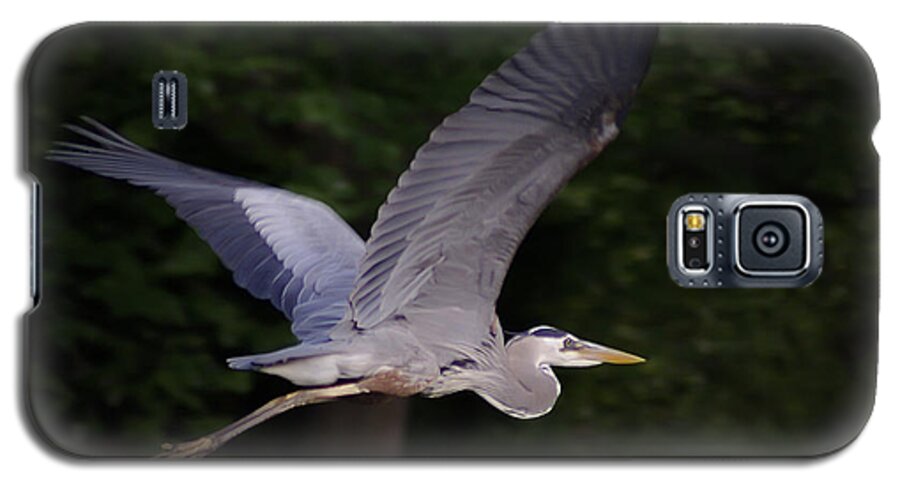 2d Galaxy S5 Case featuring the photograph Great Blue Heron In Flight #1 by Brian Wallace