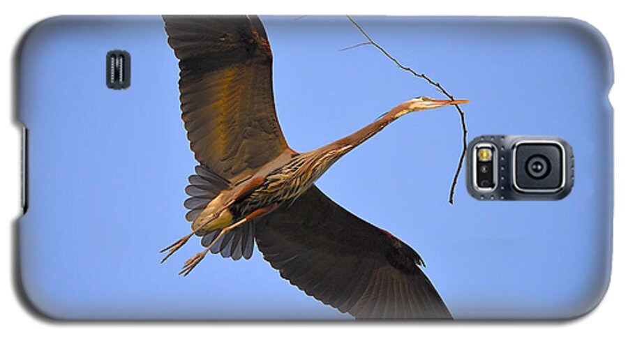 Great Blue Heron Galaxy S5 Case featuring the photograph Great Blue Heron #1 by Kathy King