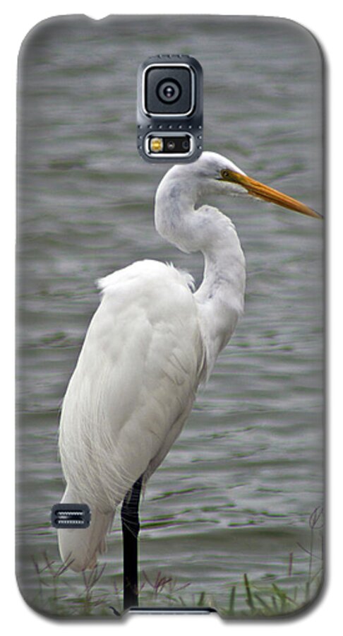 Great Egret Galaxy S5 Case featuring the photograph Great Egret #1 by Bill Barber