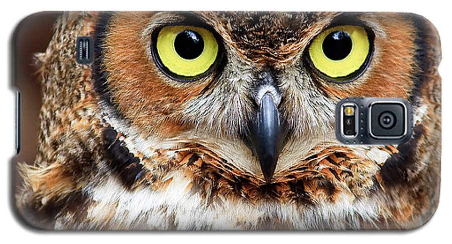 Great Horned Owls Galaxy S5 Case featuring the photograph Great Horned Owl Head #2 by Jill Lang