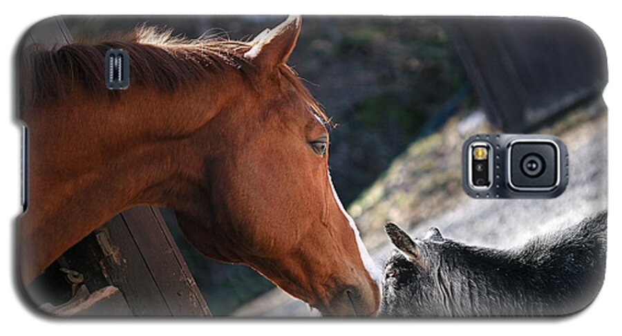 Horse Galaxy S5 Case featuring the photograph Hello Friend #1 by Angela Rath