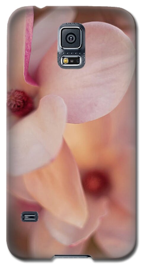 Flower Galaxy S5 Case featuring the photograph Magnolias #1 by Angie Rayfield
