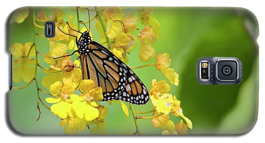 Monarch Galaxy S5 Case featuring the photograph Monarch Butterfly on Yellow Orchids #1 by Jill Lang