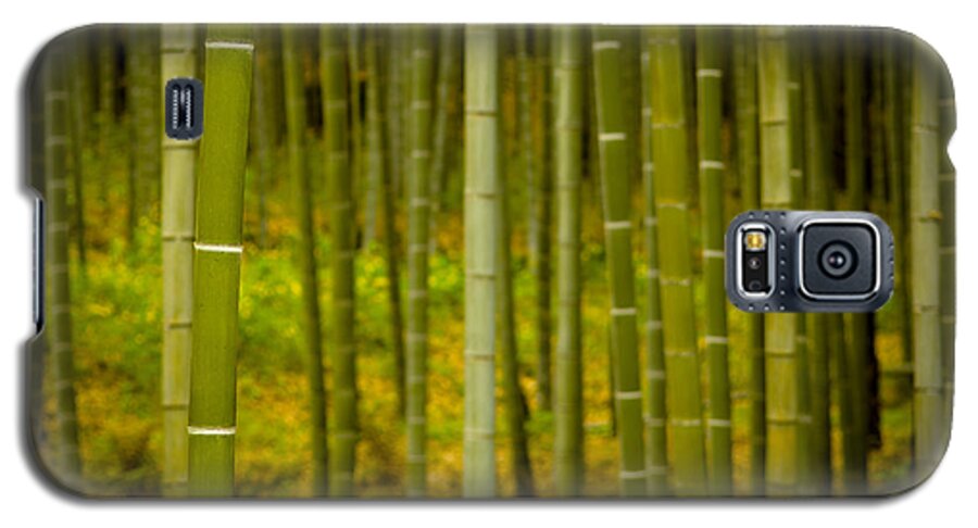 Bamboo Galaxy S5 Case featuring the photograph Mystical Bamboo #1 by Sebastian Musial