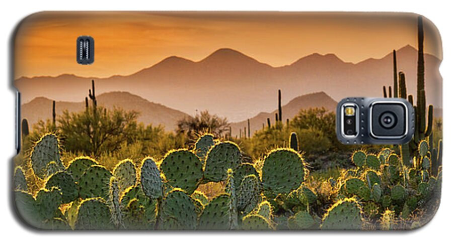 Sunset Galaxy S5 Case featuring the photograph Pure Sonoran Gold #1 by Saija Lehtonen