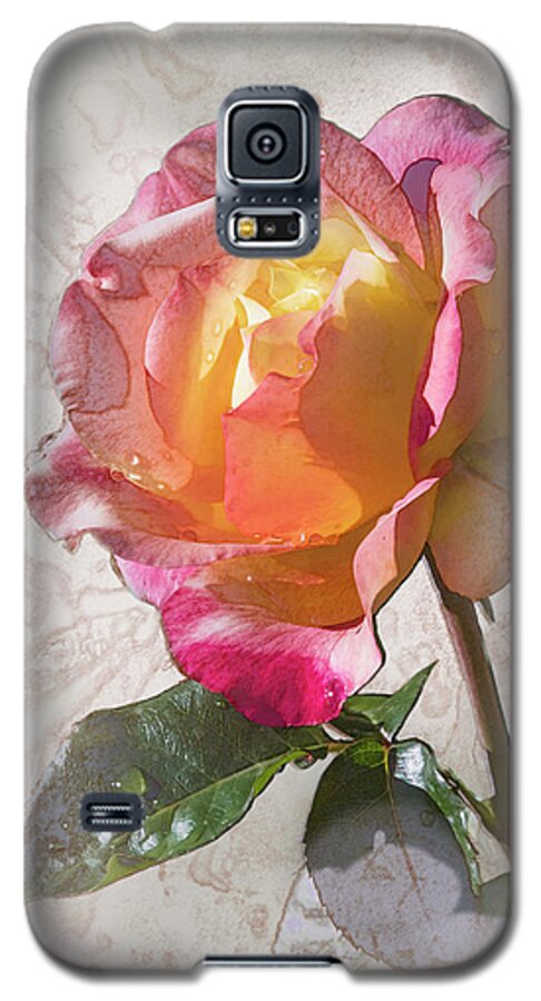 2001 All-america Rose Selection Galaxy S5 Case featuring the digital art Rosa, 'Glowing Peace' #1 by Mark Mille