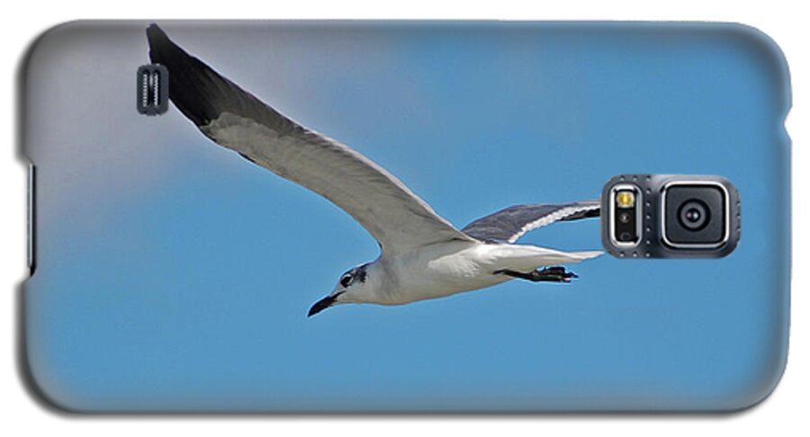  Galaxy S5 Case featuring the photograph 1- Seagull by Joseph Keane