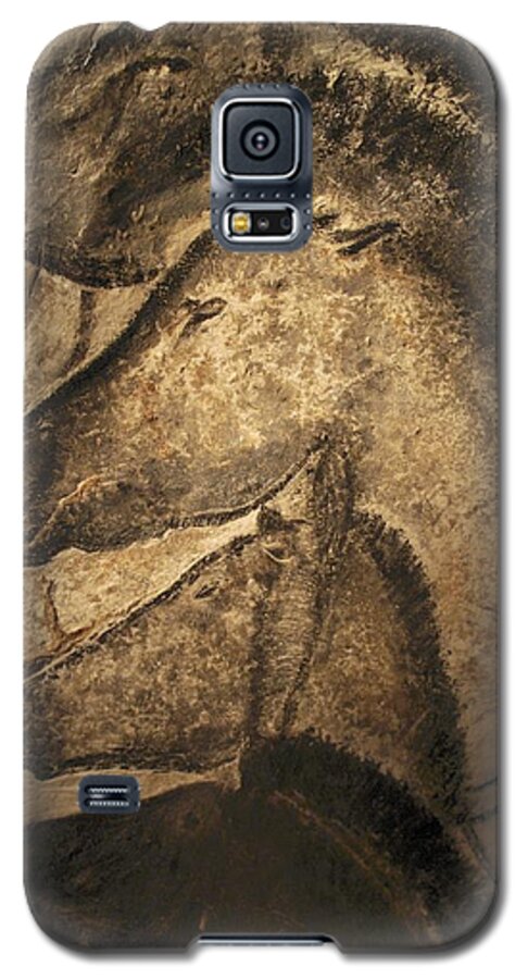 Animal Galaxy S5 Case featuring the photograph Stone-age Cave Paintings, Chauvet, France by Javier Truebamsf