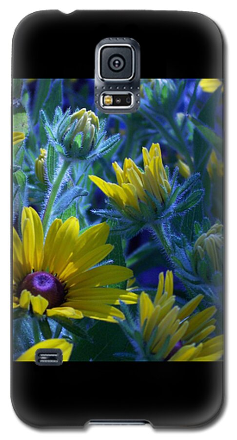  Sun Daisy Galaxy S5 Case featuring the photograph Sun Glory Series #1 by Marika Evanson