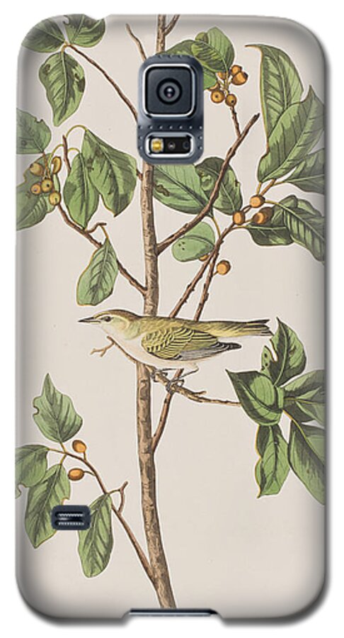 Tennessee Warbler Galaxy S5 Case featuring the painting Tennessee Warbler by John James Audubon