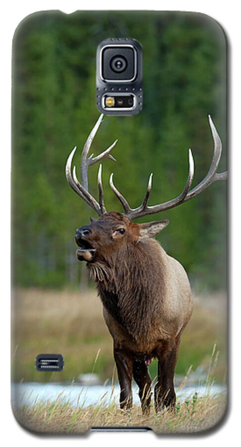Sandra Bronstein Galaxy S5 Case featuring the photograph The Challenger #1 by Sandra Bronstein