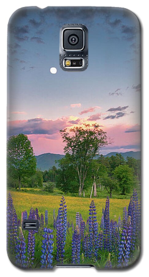 #sunset#lupines#sugarhill#newhampshire#landscape#field#mountains Galaxy S5 Case featuring the photograph The Moon Rises Above #1 by Darylann Leonard Photography