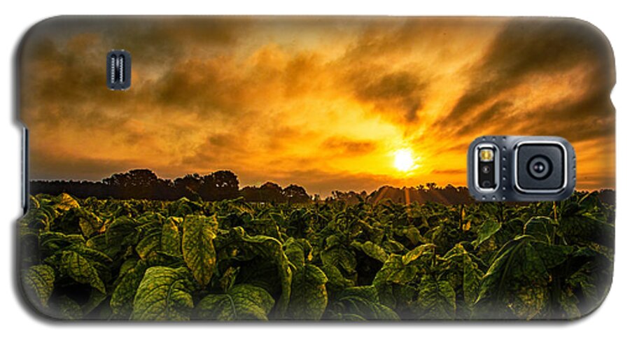 Tobacco Sunrise Prints Galaxy S5 Case featuring the photograph Tobacco Sunrise #1 by John Harding
