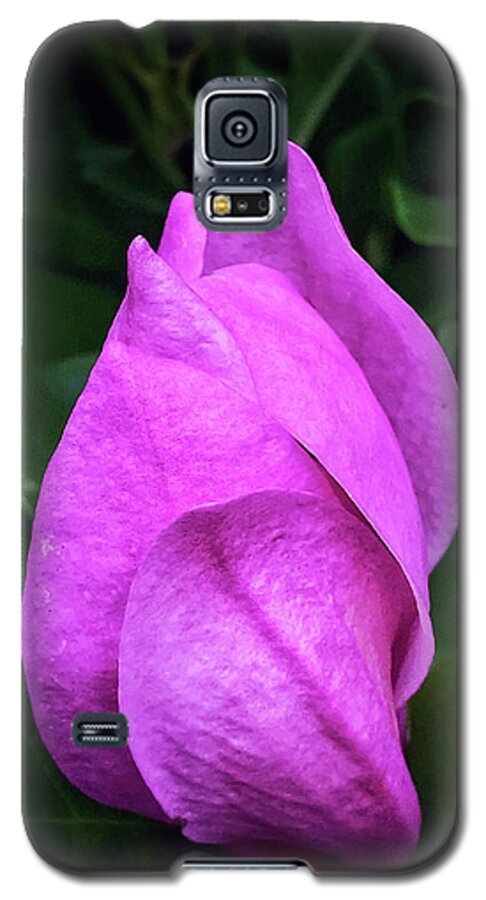Magnolia Galaxy S5 Case featuring the photograph Unfolding #2 by Jill Love