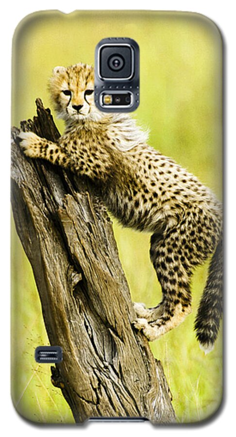 Africa Galaxy S5 Case featuring the photograph What a Cutie by Michele Burgess