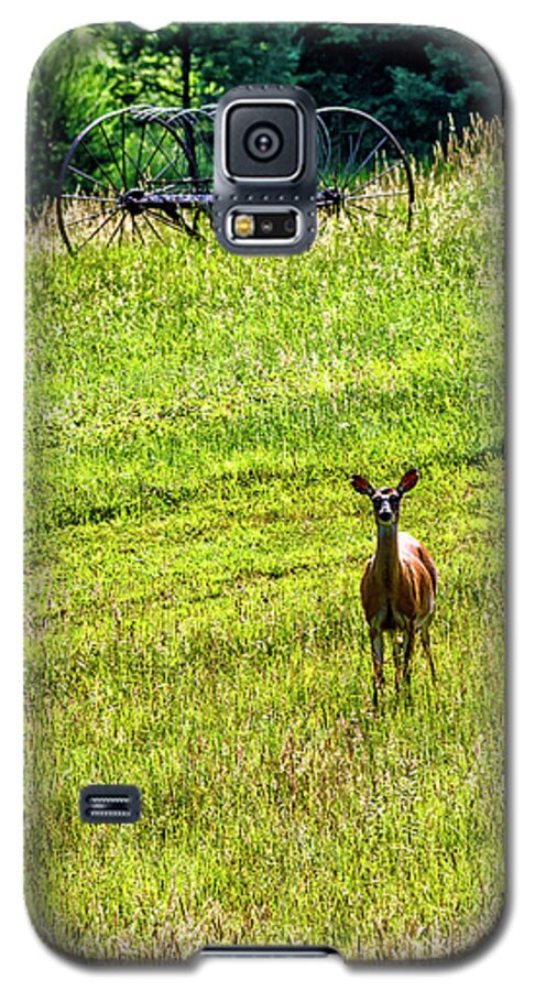 Whitetail Deer Galaxy S5 Case featuring the photograph Whitetail Deer and Hay Rake #1 by Thomas R Fletcher