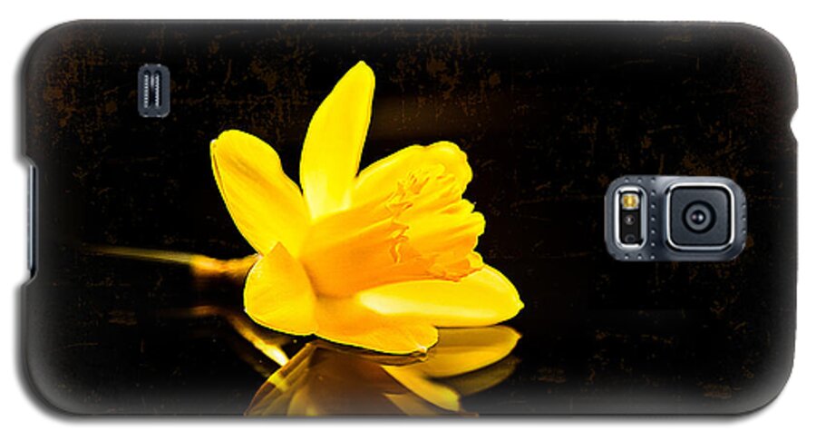 Narcissus Galaxy S5 Case featuring the photograph Yellow Dreams #1 by Milena Ilieva