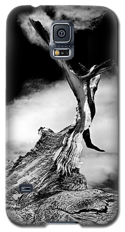 Tree Galaxy S5 Case featuring the photograph 1000 Years To Create by Paul W Faust - Impressions of Light