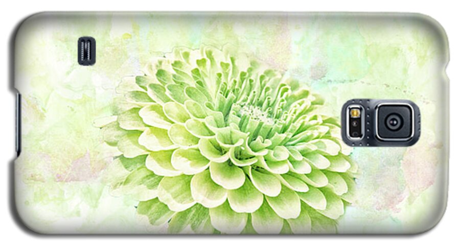 Chrysanthemum Galaxy S5 Case featuring the mixed media 10891 Green Chrysanthemum by Pamela Williams