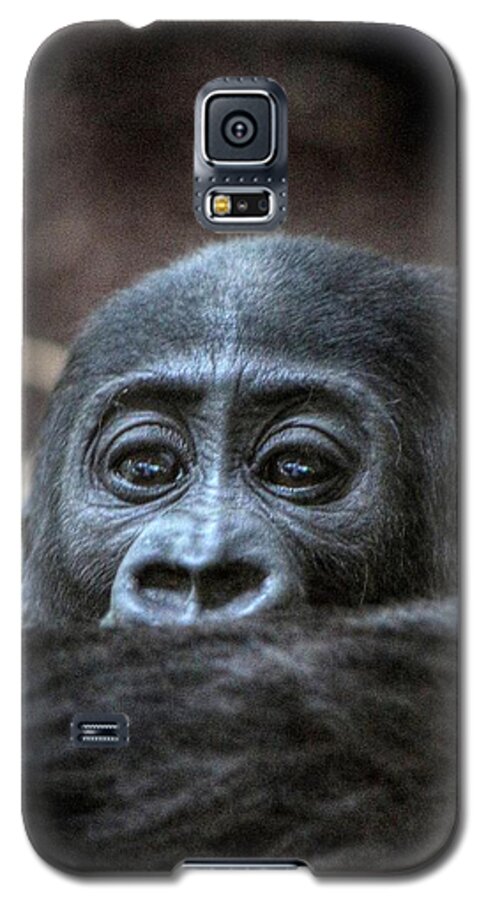 Zoo Stuttgart Germany Galaxy S5 Case featuring the photograph Zoo Stuttgart Germany #12 by Paul James Bannerman