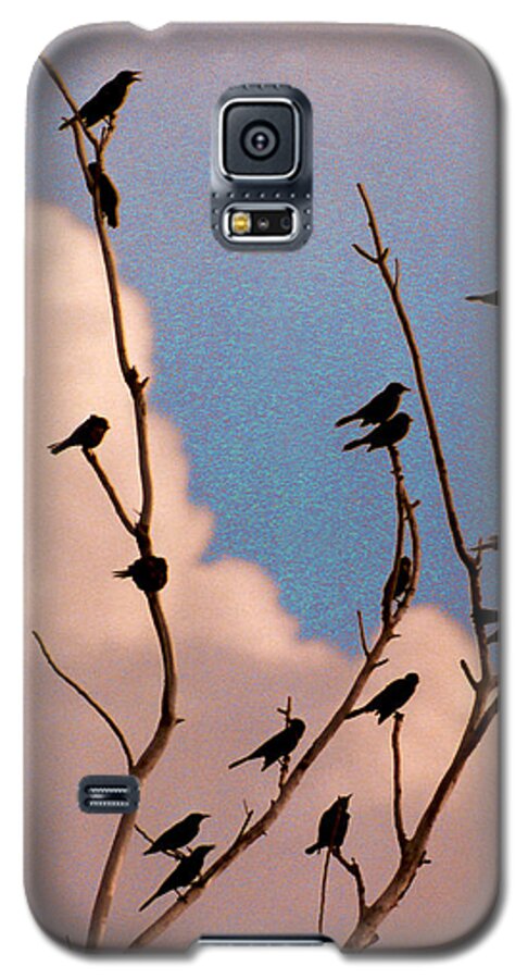 Birds Galaxy S5 Case featuring the photograph 19 Blackbirds by Steve Karol