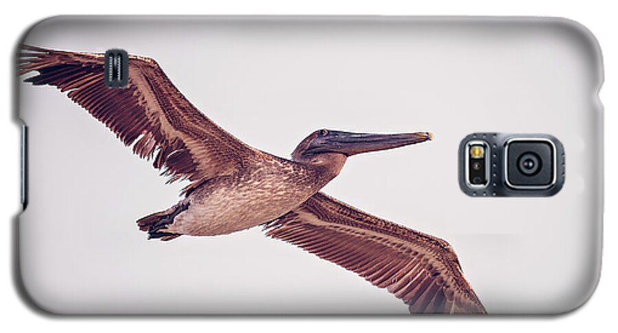 Aqua Galaxy S5 Case featuring the photograph Pelican #2 by Peter Lakomy