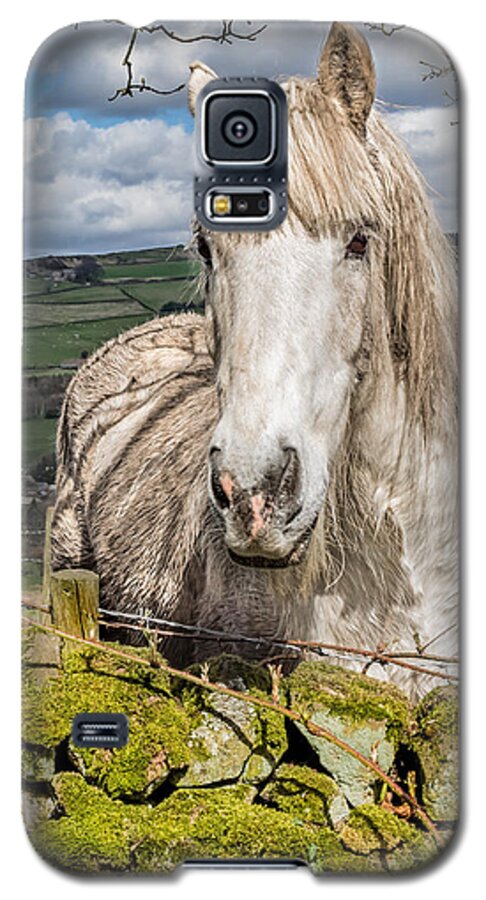 Birds & Animals Galaxy S5 Case featuring the photograph Rustic Horse #2 by Nick Bywater