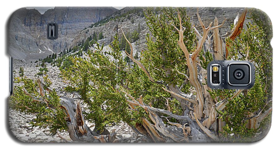 Great Basin National Park Galaxy S5 Case featuring the photograph Wheeler Peak Basin #2 by Ray Mathis