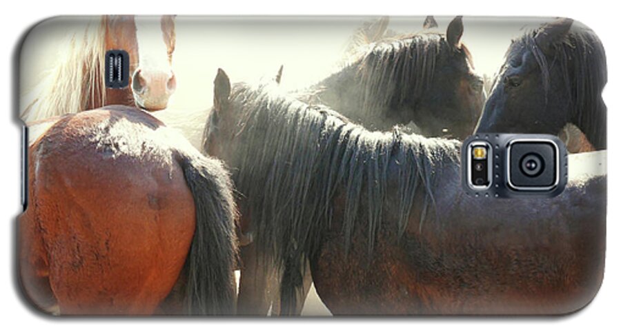 Man Fron Snowy River Galaxy S5 Case featuring the photograph Wild Horses - Australian Brumbies 3 #1 by Lexa Harpell