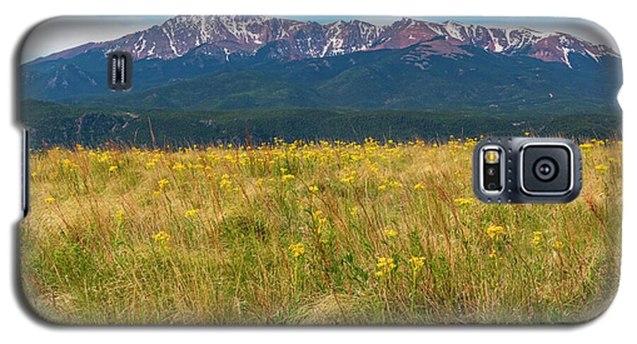 Wildflowers Galaxy S5 Case featuring the photograph Wildflowers and Pikes Peak #2 by Steven Krull