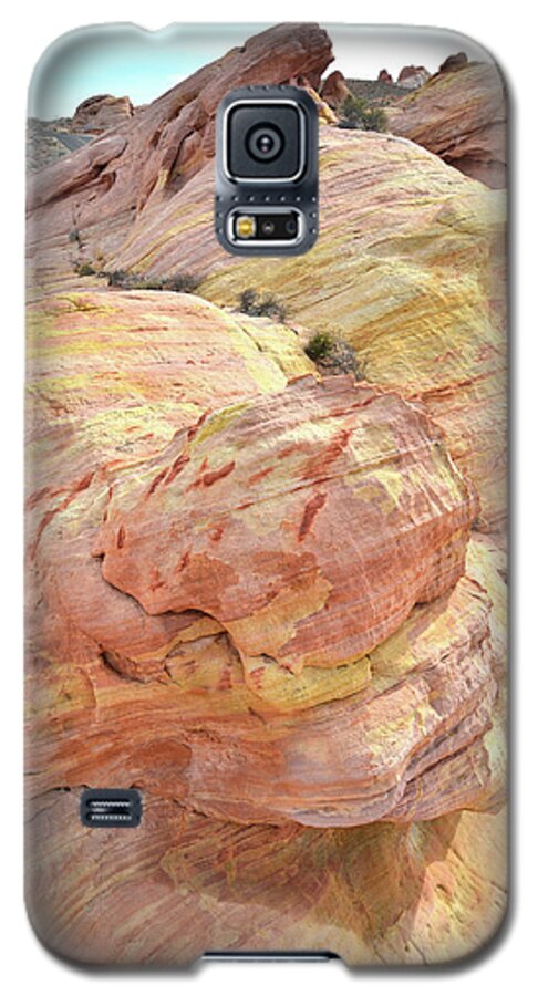 Valley Of Fire Galaxy S5 Case featuring the photograph Colorful Sandstone in Valley of Fire #22 by Ray Mathis