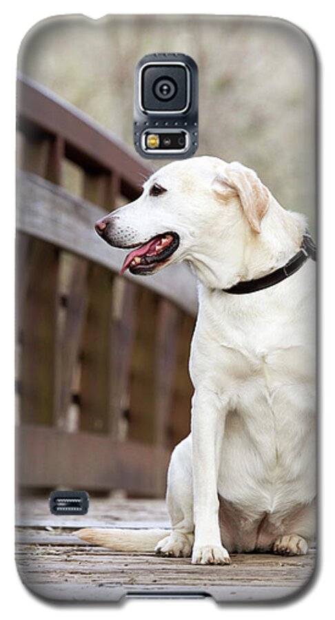  Galaxy S5 Case featuring the photograph 14 #3 by Rebecca Cozart