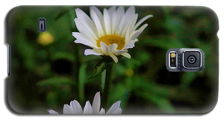 White Galaxy S5 Case featuring the photograph 3 In A Row by Cherie Duran