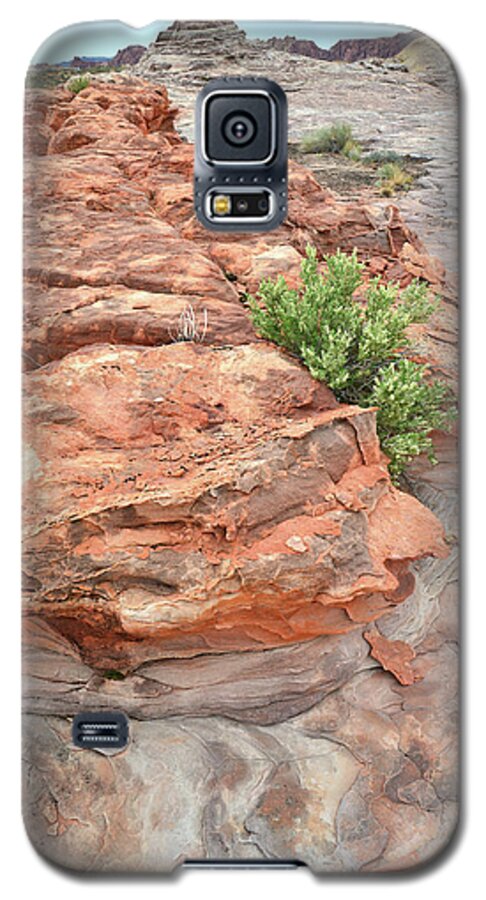 Valley Of Fire State Park Galaxy S5 Case featuring the photograph Colorful Sandstone in Valley of Fire #32 by Ray Mathis