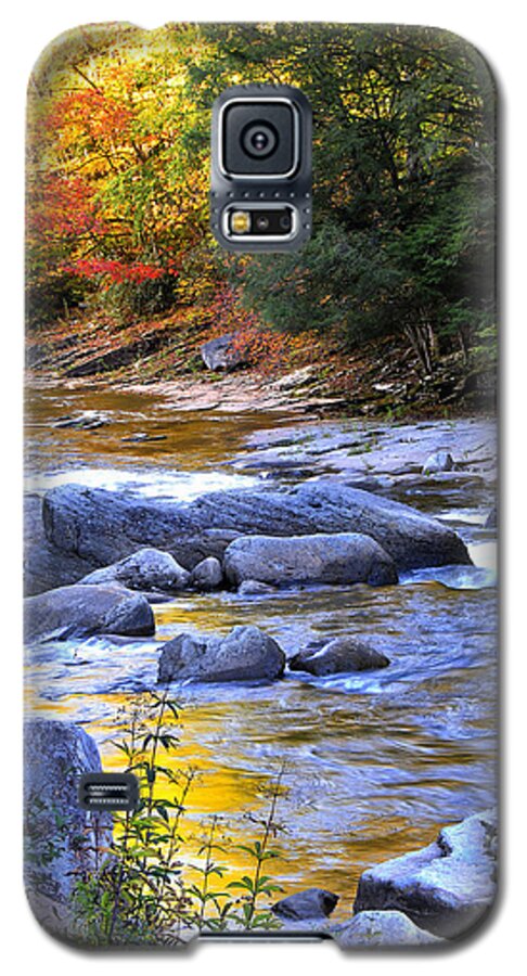 Williams River Galaxy S5 Case featuring the photograph Fall Color Williams River #1 by Thomas R Fletcher