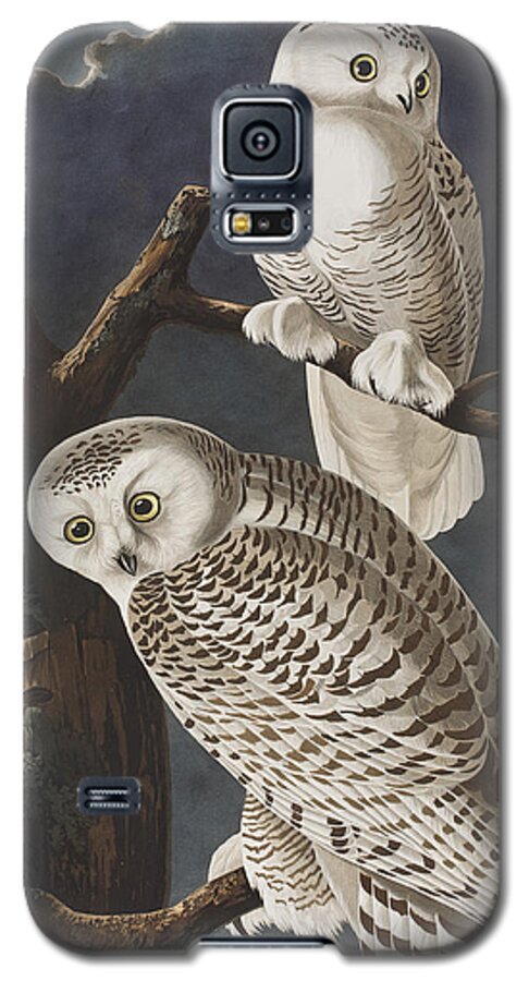 Owl Galaxy S5 Case featuring the painting Snowy Owl by John James Audubon