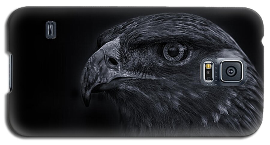 Animal Galaxy S5 Case featuring the photograph Golden Eagle #6 by Brian Cross