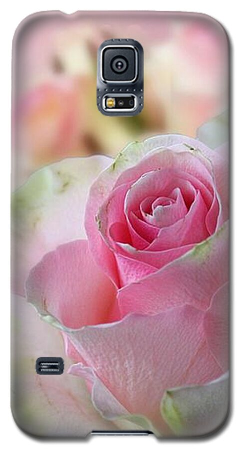 Pink Rose Galaxy S5 Case featuring the mixed media A Beautiful Rose by Morag Bates