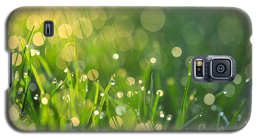 A Bit Of Green Galaxy S5 Case featuring the photograph A Bit of Green by Rachel Cohen
