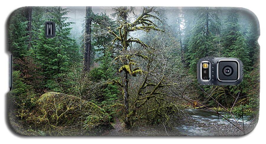 Forest Galaxy S5 Case featuring the photograph A Creek Runs Through It by Belinda Greb