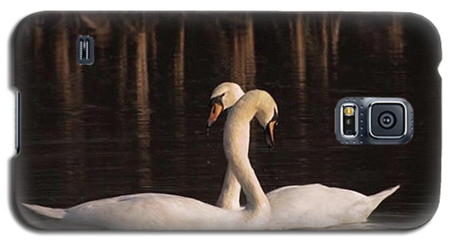 Nuts_about_birds Galaxy S5 Case featuring the photograph A Painting Of A Pair Of Mute Swans by John Edwards
