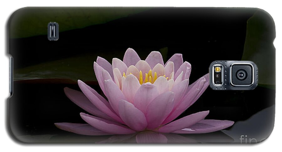 Flower Galaxy S5 Case featuring the photograph A Perfect Bloom by Andrea Silies