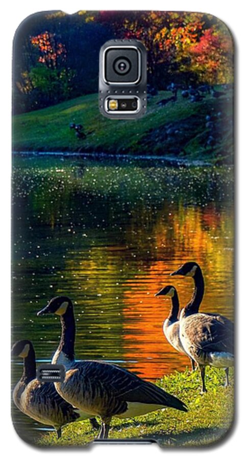  Galaxy S5 Case featuring the photograph A place in the sun by Kendall McKernon