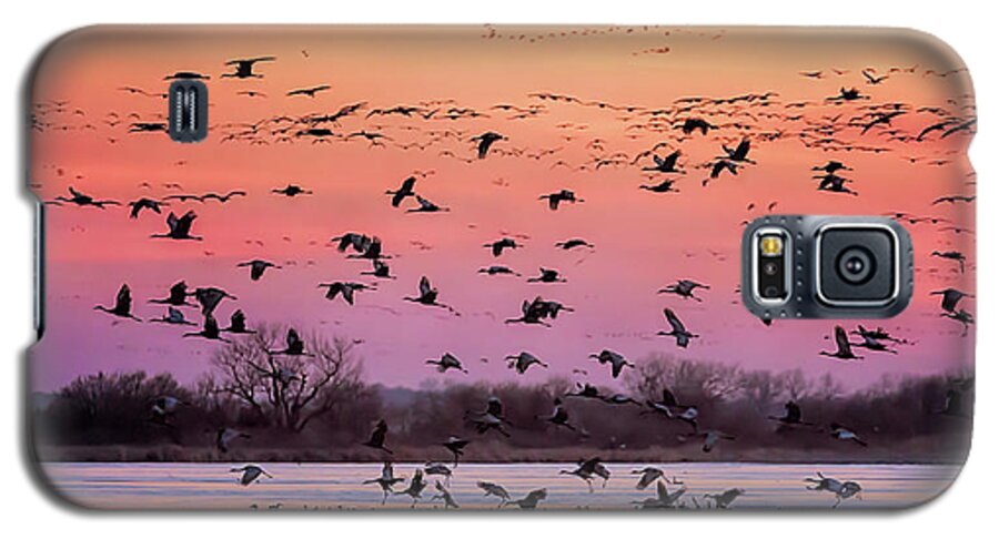 Sandhill Cranes Galaxy S5 Case featuring the photograph A Vibrant Evening by Susan Rissi Tregoning