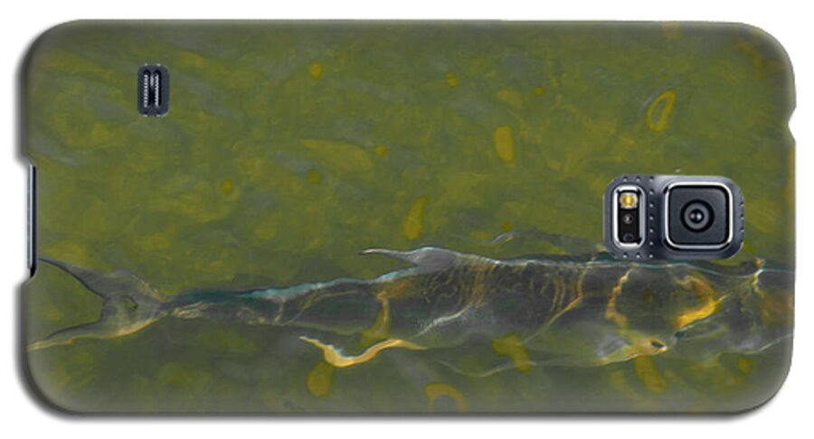 Fish Tarpon Reflection Water Wild Galaxy S5 Case featuring the photograph Abstract Fish 2 by Carolyn D'Alessandro