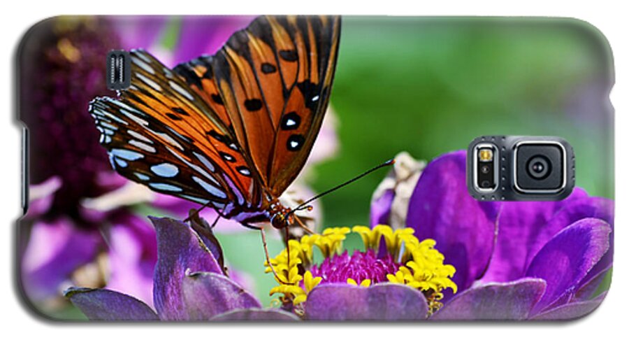 Naples Botanical Garden Galaxy S5 Case featuring the photograph Afternoon Delight by Melanie Moraga