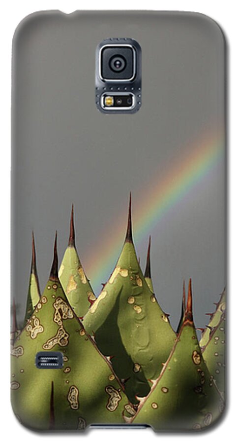 Agave Galaxy S5 Case featuring the photograph Agave Rainbow by David Diaz