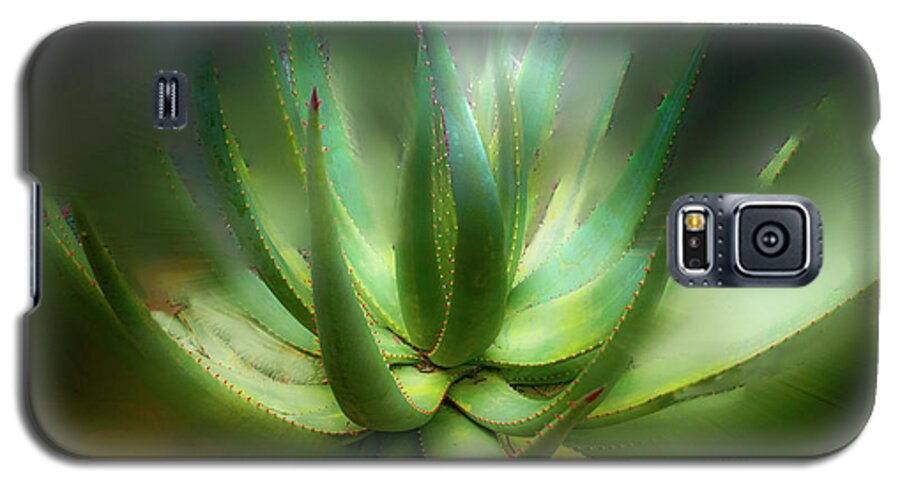 Landscape Galaxy S5 Case featuring the photograph Agave Sunrise by Joseph Hollingsworth